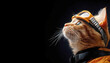 © Dadee - A stylish cat with goggles, looking confidently to the side.