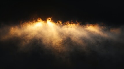Wall Mural - dense fog light sunlight golden.