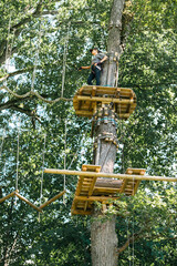 Wall Mural - embark on an exhilarating treetop adventure designed for outdoor enthusiasts in a beautiful, lush fo