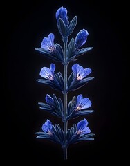 Canvas Print - A close-up of a blue flower stem against a dark background, showcasing intricate details.