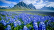 © imam - Stokksnes, Iceland with the Stordspecies of vestrahorn mountain in the background, a small lake and blue skies, purple flowers, green grass