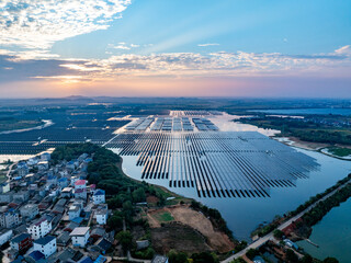 Wall Mural - Aerial view of solar photovoltaic panels array