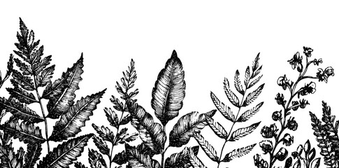 Fototapete - Watercolor green leaf elements. Clipart botanical collection.