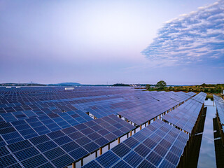 Wall Mural - Solar photovoltaic panels array aerial photography at sunset