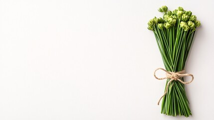 Fototapete - Isolated on white background bundle of chives tied together with natural string creating an elegant herb presentation and side empty space for text Stockphoto style