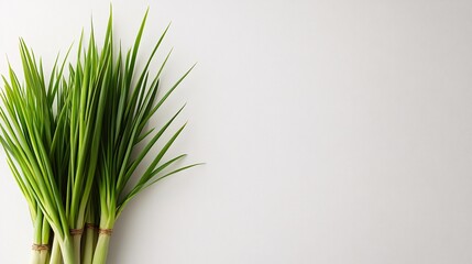 Fototapete - Isolated on white background lemongrass stalks stacked diagonally with their smooth textures highlighted for an earthy aesthetic and side empty space for text Stockphoto style
