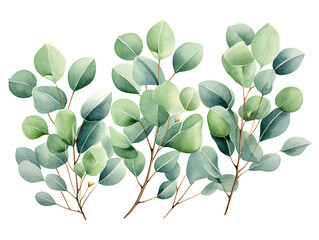 fantastic watercolor eucalyptus branch seamless pattern