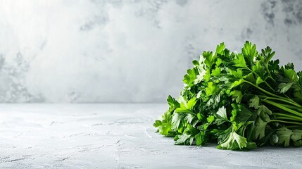 Fototapete - Isolated on white background flat-leaf parsley arranged in a loose cluster highlighting its fresh green hues and side empty space for text Stockphoto style