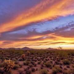 Wall Mural - beautiful sunset over the desert