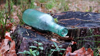 Wall Mural - Close-up of an old glass bottle and trash on forest ground symbolizing pollution and litter