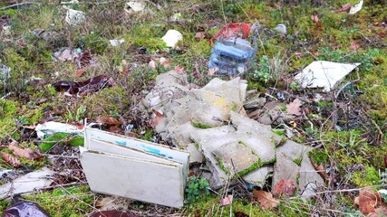 Wall Mural - pile of trash left in a forest clearing, illustrating the problem of littering and environmental pol