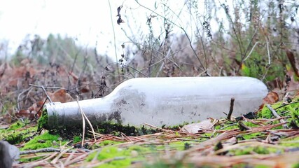 Wall Mural - Close-up of an old glass bottle and trash on forest ground symbolizing pollution and litter
