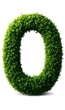 © heinng - Lush Green Boxwood Number Zero: A Vibrant 3D Render. AI Generated