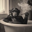 © Generasi - A chimpanzee sits in a bathtub, smoking a cigar and looking relaxed.