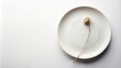 © Collection - A solitary dried flower rests on a white plate, creating a simple yet elegant composition.