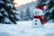 © DariaTrofimova - Funny snowman in a knitted hat and scarf in the snow. New Year concept