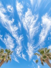 Aufkleber - Palm trees frame a stunning sky filled with wispy clouds, showcasing a beautiful day in a tropical setting with clear blue above. Generative AI