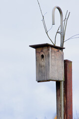 DIY bird house on a pole, no paint