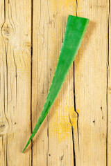 Wall Mural - an aloe vera leaf on a wooden board