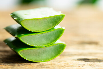 Wall Mural - leaves of aloe vera plant, organic plant