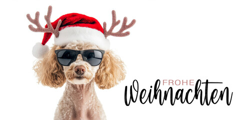 Wall Mural - frohe weihnachten urlaub winter grußkarte mit deutschem text - cooles lustiger pudel hund haustier m