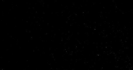 Wall Mural - Natural Organic Dust Particles Floating On Black Background. Dynamic Dust Particles Randomly Float In Space. Shimmering Glittering Dust Particles With Bokeh. Slow motion on Black Background.
