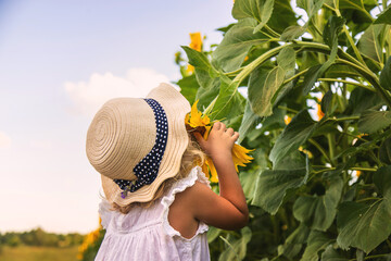 Poster - Child in a field of sunflowers. Selective focus.