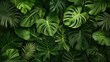 © primopiano - Lush green tropical leaves overlapping in a dense foliage pattern with various textures and shapes, including monstera and palm leaves, creating a rich and vibrant natural background.