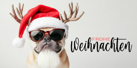 Wall Mural - frohe weihnachten urlaub winter grußkarte mit deutschem text - coole französische bulldogge hund hau