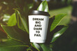 © Evgeniya Primavera - white paper cup for hot drink with inscription text motivational phrase dream big and dare to fail on green tree leaves outdoor on sunny day, concept of success, motivation