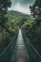 Canvas Print - A serene forest canopy walk on a hanging bridge surrounded by lush greenery and mist