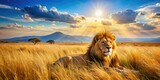 Majestic Lion in the Grassland: A Stunning Landscape Photography Scene with Vibrant Wildlife and Natural Habitat, Capturing the Essence of Africa’s Serengeti and the Beauty of Nature