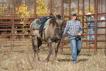 older western woman in jeans walking with buckskin western quarter horse in front of  cattle corrals with black Angus cows in the western US in the fall 