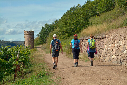 wanderer auf der Hiwweltour heideblick