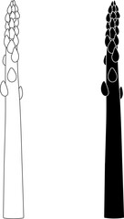 Wall Mural - outline silhouette asparagus icon set