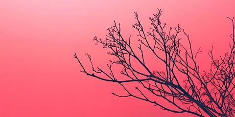 Poster - Branches against a pink background.
