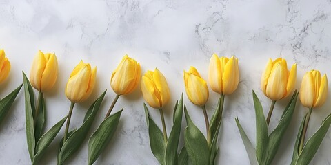 Sticker - Arrangement of flowers. Yellow tulip blooms on a light backdrop. Concepts for Valentine's Day, Mother's Day, and International Women's Day. Flat lay, top view.