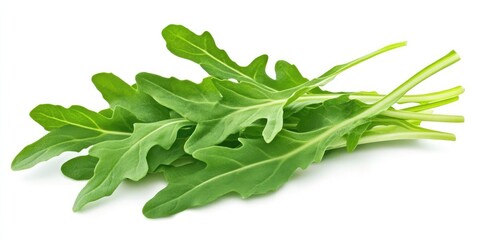 Aufkleber - Arugula leaves isolated on a white background. Focused selectively. Food.