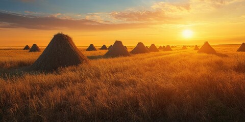 Leinwandbilder - A field of dry yellow grass and haystacks at sunset. Autumn scenery.