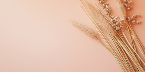Fototapete - Creative background with straw for copy space. Minimal flat lay card design. Natural composition background.