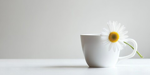 Aufkleber - Close-up high key cup and daisy with copyspace on the right.
