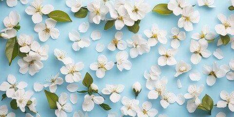 Sticker - Spring background featuring beautiful white blossom flowers on blue paper. Top view, flat lay. Summer theme. Creative arrangement.