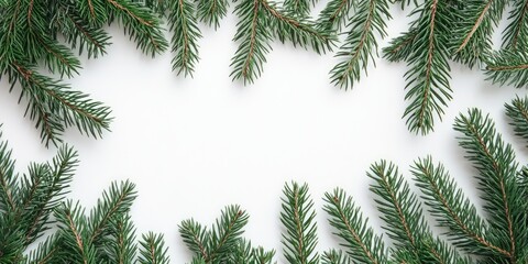 Aufkleber - Creative arrangement of Christmas tree branches on a white background. Flat lay. Nature Christmas idea.