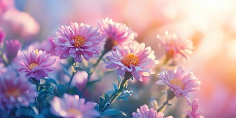 Aufkleber - Beautiful flowers created using color filters and soft light.
