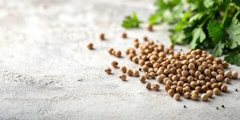 Poster - Coriander seeds placed on a textured white table. Ideal for recipe books, articles, or any cooking content, featuring copy space. Selective focus image.