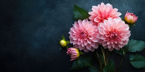 Aufkleber - Pink dahlia arrangement. Autumn flower with copy space.
