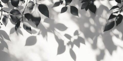 Aufkleber - Overlay effect for a photo. Gray shadow of leaves on a white wall. Blurred background with an abstract neutral nature concept. Dappled light.