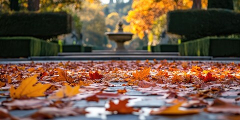 Poster - Fallen maple leaves in the Italian gardens during autumn.