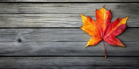 Poster - Autumn's colorful maple leaf on a wooden background