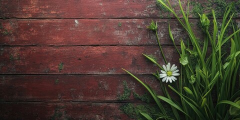 Poster - grass flower on wooden floor texture